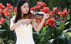 自行车的污染比汽车更大